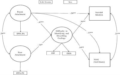 The Role of Difficulty in Identifying and Describing Feelings in Non-Suicidal Self-Injury Behavior (NSSI): Associations With Perceived Attachment Quality, Stressful Life Events, and Suicidal Ideation